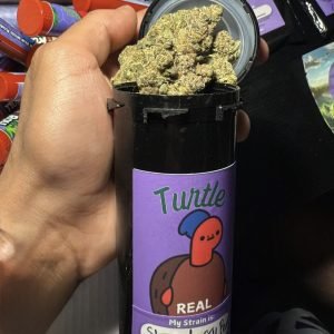 turtle weed